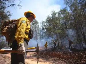 Todavía hay 84 incendios activos: AMLO