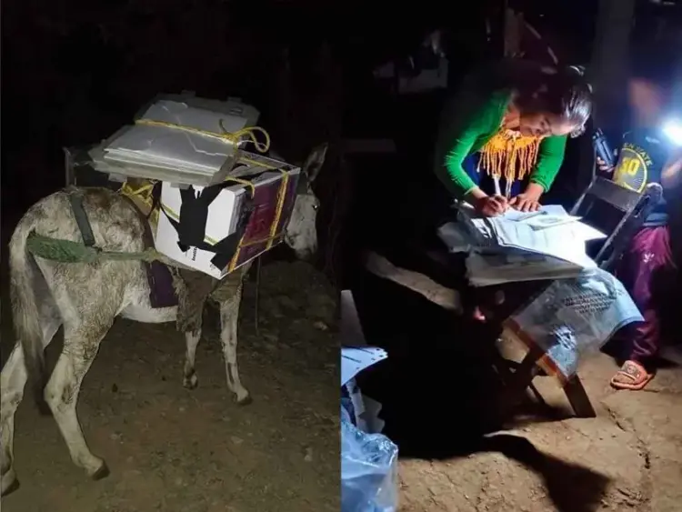 Una mula ayuda a transportar boletas electorales en la Sierra Sur de Oaxaca