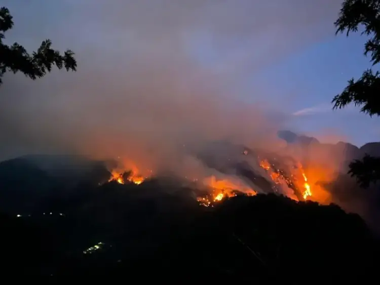 17 incendios forestales afectan diversas partes del estado de Veracruz