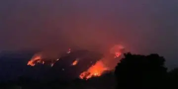 Tras incendio forestal, habitantes de Veracruz y Puebla piden ayuda en CDMX