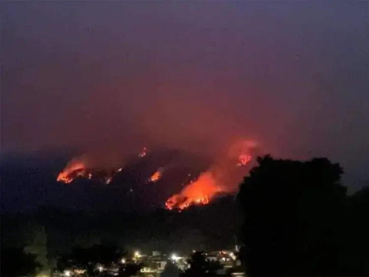 Tras incendio forestal, habitantes de Veracruz y Puebla piden ayuda en CDMX