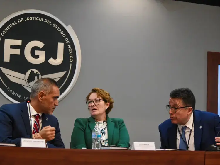 Gobierno de EU inició 655 investigaciones por tráfico de armas a México