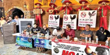 En Sonora luchan contra las leyes de protección animal que prohíben peleas de gallos