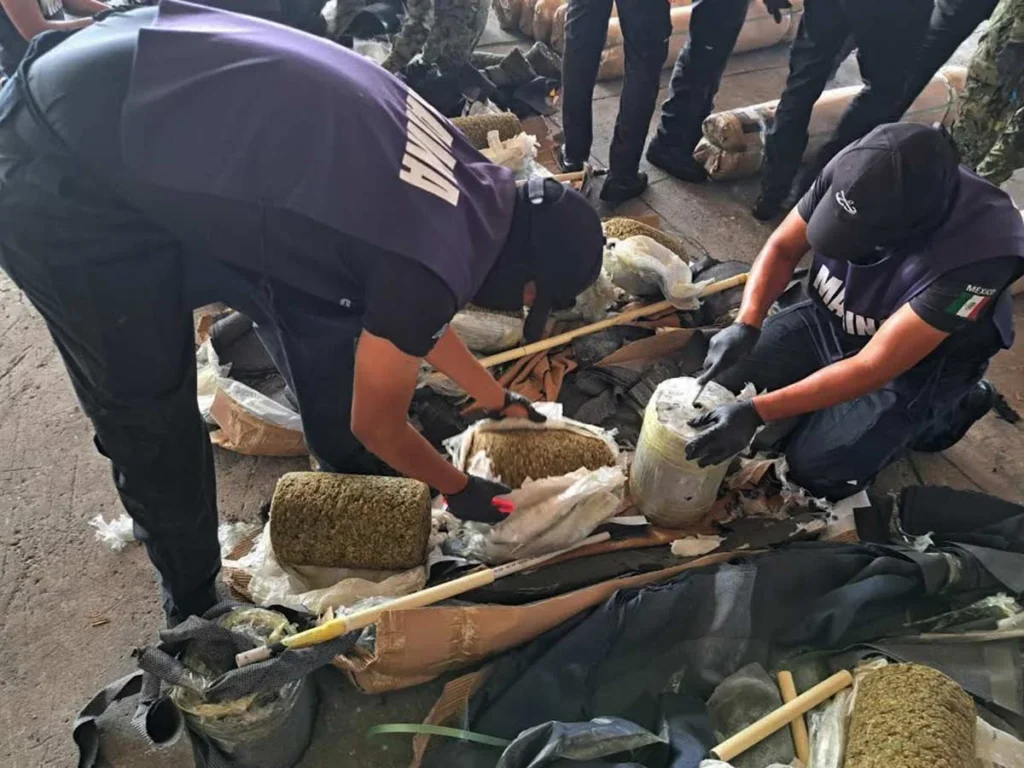 750 kilos de marihuana son confiscados en Veracruz