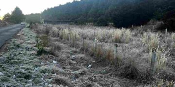 Heladas y bajas temperaturas se anticipan al Ajusco