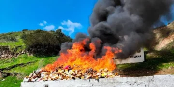 Incineran seis toneladas de drogas en Baja California